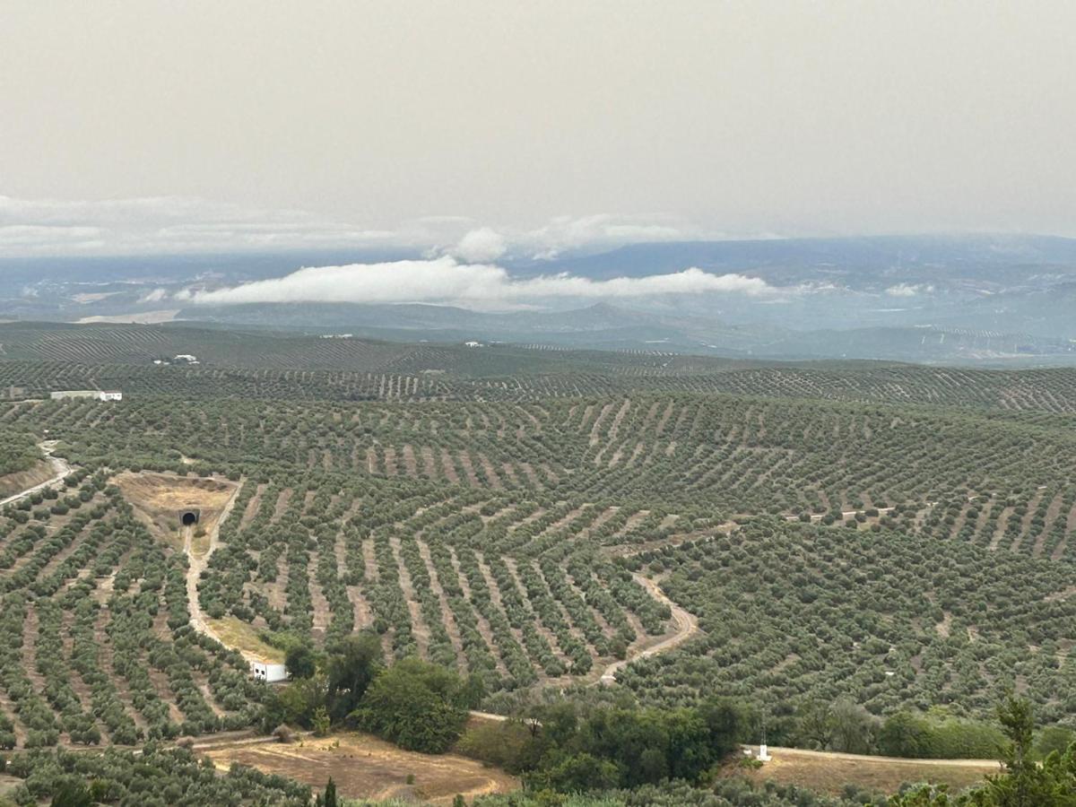 Casa De Mama Loles Villa Úbeda Dış mekan fotoğraf